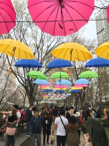And colourful umbrellas
